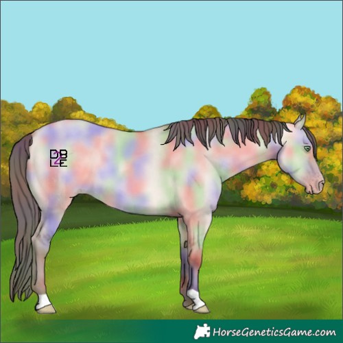 Horse Color:Nacre Amber Champagne Dun 