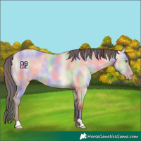 Horse Color:Nacre Amber Champagne Dun