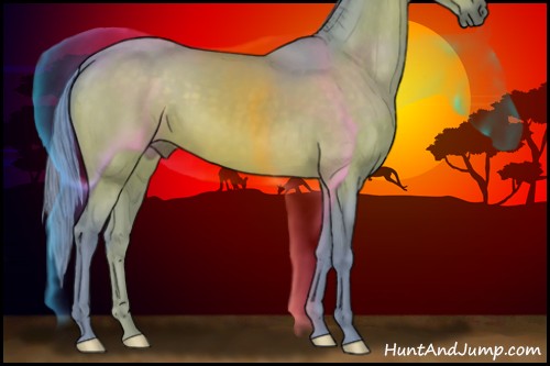 Horse Color:Watercolor Brown 