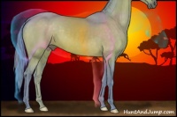 Horse Color:Watercolor Brown 