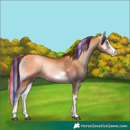 Horse Color:Platinum Painted Brown Pearl Onyx 