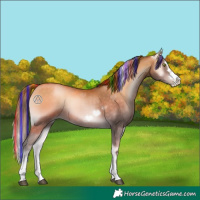 Horse Color:Platinum Painted Brown Pearl Onyx 