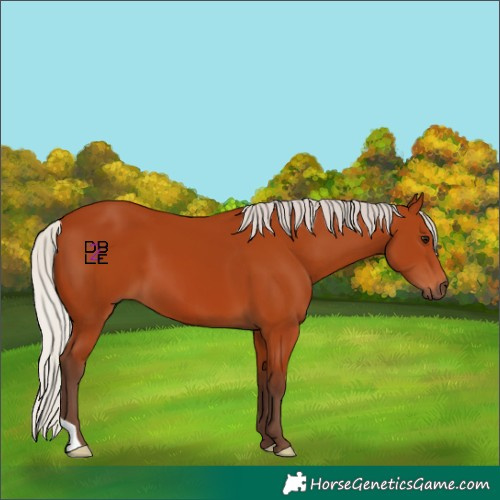 Horse Color:Silver Bay 