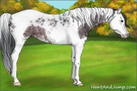 Horse Color:Brown Chinchilla Ice Onyx Splash Tobiano 