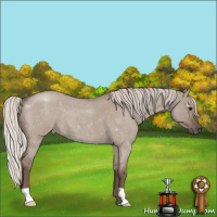 Horse Color:Silver Grullo Roan 