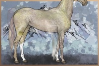 Horse Color:Silver Grullo Ice 