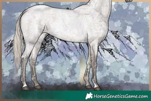 Horse Color:Silver Smoky Grullo Ice Roan 