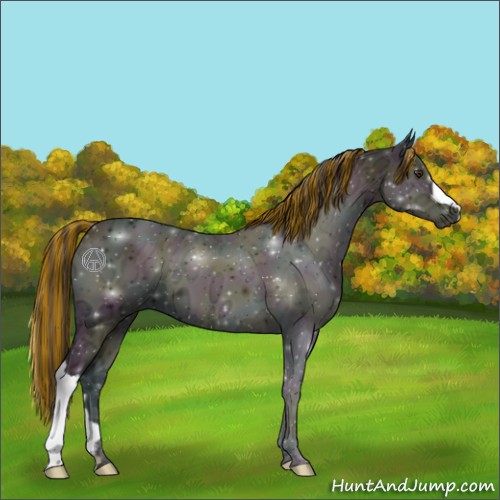 Horse Color:Painted Midnight Buckskin Ice Onyx 