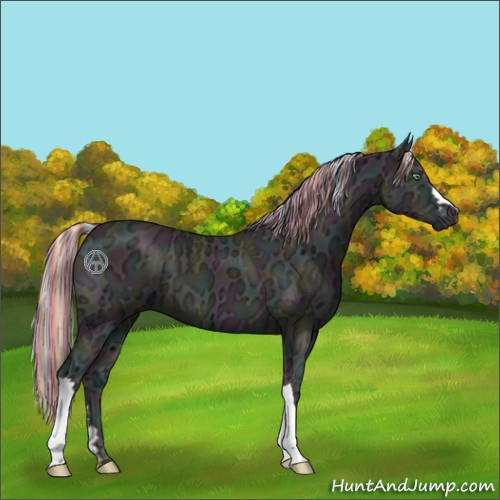 Horse Color:Painted Midnight Perlino Ice Onyx 