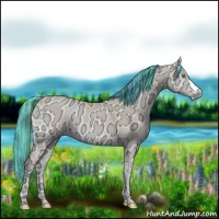 Horse Color:Painted Perlino Ice Onyx