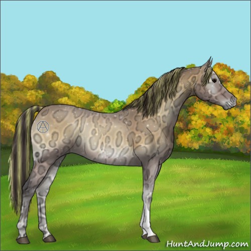 Horse Color:Painted Buckskin Ice Onyx