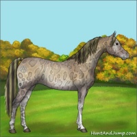 Horse Color:Painted Buckskin Ice Onyx