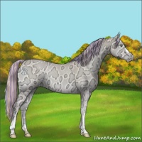 Horse Color:Painted Perlino Ice Onyx 