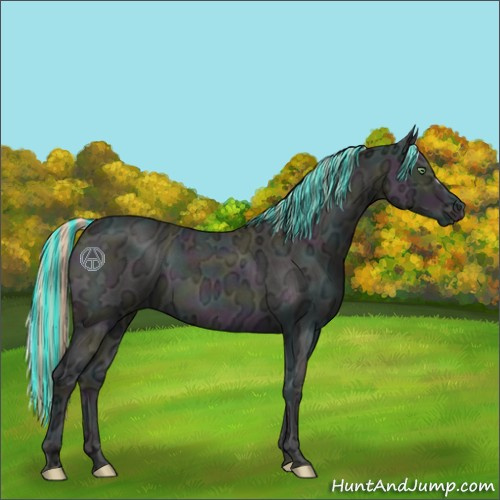 Horse Color:Painted Midnight Perlino Ice Roan Onyx 