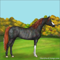 Horse Color:Painted Midnight Buckskin Ice Pearl Onyx Rabicano 