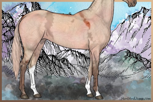 Horse Color:Silver Brown Ice Dun 