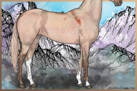 Horse Color:Silver Brown Ice Dun 