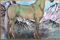 Horse Color:Silver Brown Ice Dun 