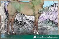 Horse Color:Silver Brown Ice Dun