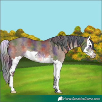 Horse Color:Nacre Brown Dun Splash 