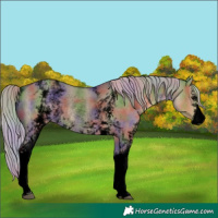 Horse Color:Void Nacre White Spotted Silver Smoky Grullo Rabicano