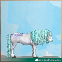 Horse Color:Painted Silver Grullo Chinchilla Splash Tobiano Rabicano 