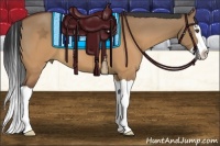 Horse Color:Brown Dun Splash