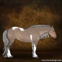 Horse Color:Liver Red Dun Mushroom Tobiano 