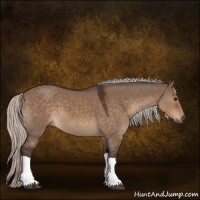 Horse Color:Silver Brown Dun