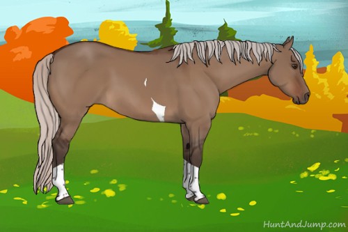 Horse Color:Silver Brown Dun Tobiano 