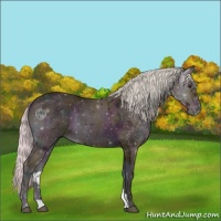 Horse Color:Watercolor Midnight Silver Bay Ice Onyx 