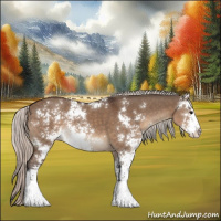 Horse Color:Silver Brown Dun Sabino Rabicano 