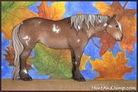 Horse Color:White Spotted Silver Brown Sabino Rabicano 