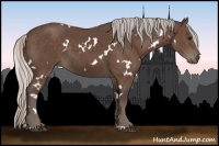 Horse Color:White Spotted Silver Black 