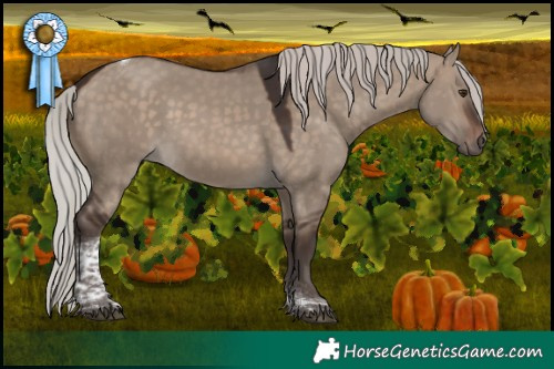 Horse Color:Silver Brown Dun Tobiano 