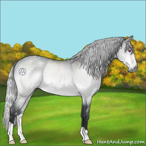 Horse Color:Silver Bay Chinchilla 