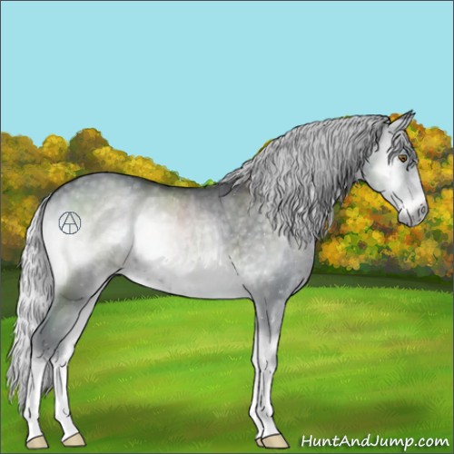 Horse Color:Silver Blue Onyx Chinchilla Mushroom 