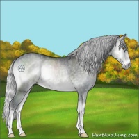 Horse Color:Silver Blue Onyx Chinchilla Mushroom 