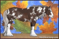 Horse Color:White Spotted Silver Brown Splash Rabicano