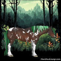 Horse Color:Painted White Spotted Brown Tobiano Rabicano 