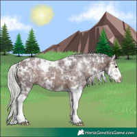 Horse Color:White Spotted Silver Brown Ice Splash 