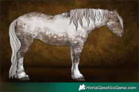 Horse Color:Silver Brown Ice Dun Tobiano 