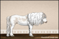Horse Color:Silver Brown Ice Dun Splash Tobiano Frame Rabicano 