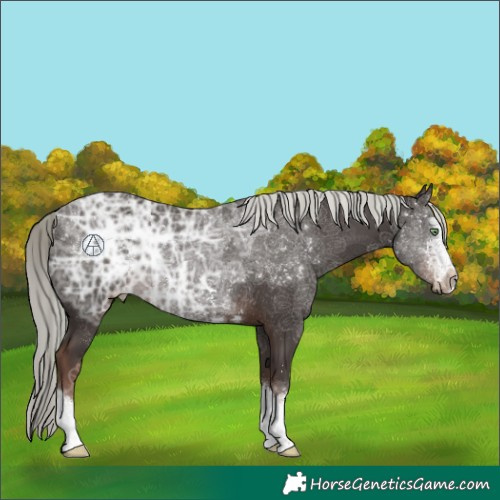 Horse Color:Liver Chestnut Ice Mushroom Rabicano 