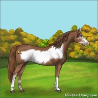 Horse Color:Chestnut Frame 