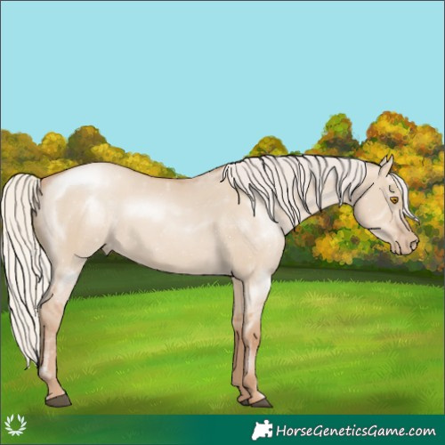 Horse Color:Silver Grullo Pearl 