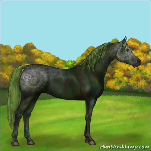 Horse Color:Watercolor Midnight Liver Chestnut Ice 