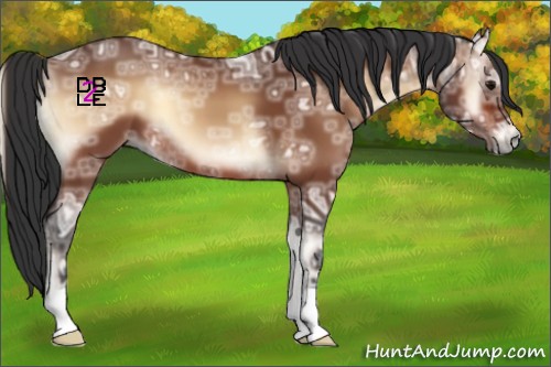 Horse Color:Brown Ice Onyx
