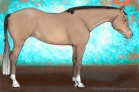 Horse Color:Sable Champagne 