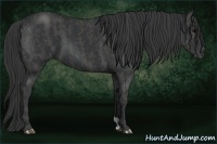 Horse Color:Black Brindle